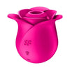 Satisfyer Pro 2 Modern Blossom